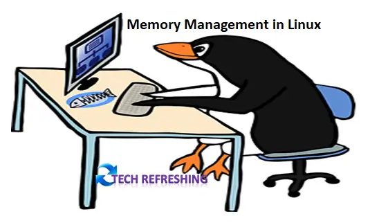 Memory management in Linux