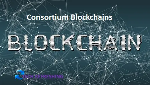 Consortium Blockchains