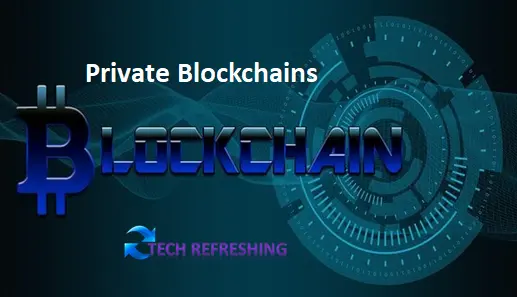 Private Blockchains