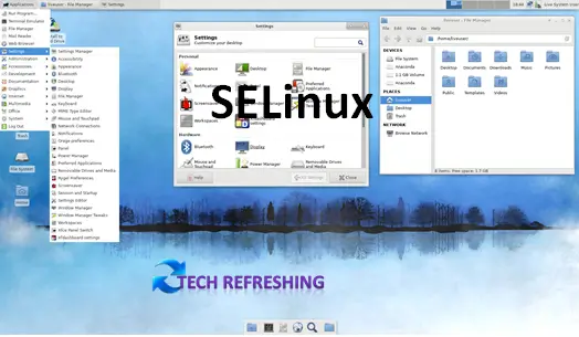 SELinux