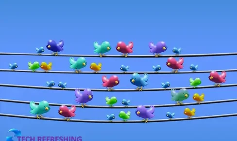 Twitter's Revenue Sharing Program Finally Pays Off for Popular Creators