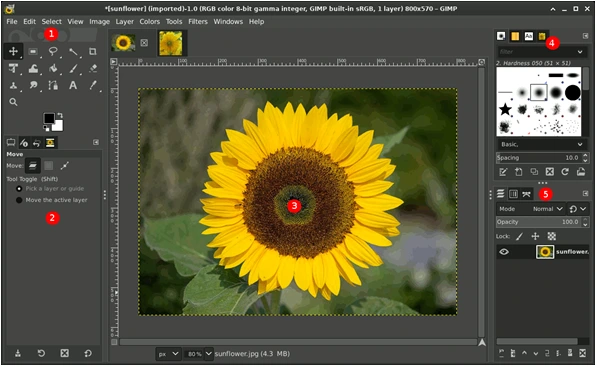 Exploring GIMP: A Powerful Linux Application for Image Editing