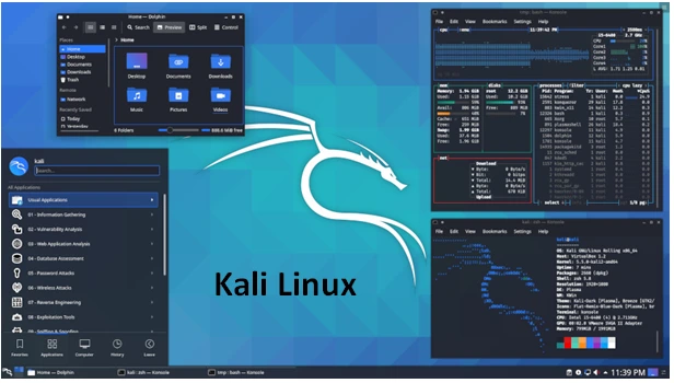 Kali Linux The Veteran Leader