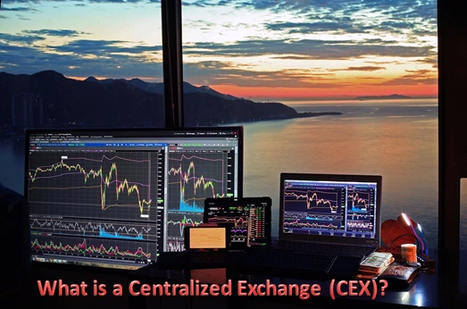 What is a Centralized Exchange (CEX)?