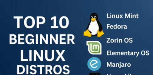 Top 10 Beginner Linux Distros in 2025