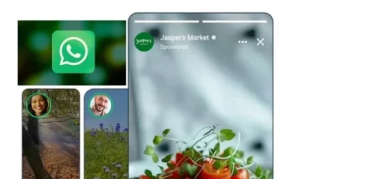 Why WhatsApp Ads Could Be the Future of Mobile Marketing