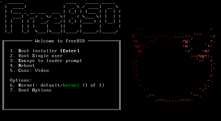FreeBSD for Developers: Why It’s a Hidden Gem 2 FreeBSD