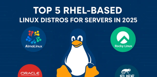 Top 5 RHEL-Based Linux Distros for Servers in 2025