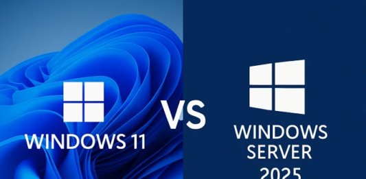 Windows 11 vs. Windows Server 2025: Which OS Suits Your Needs?