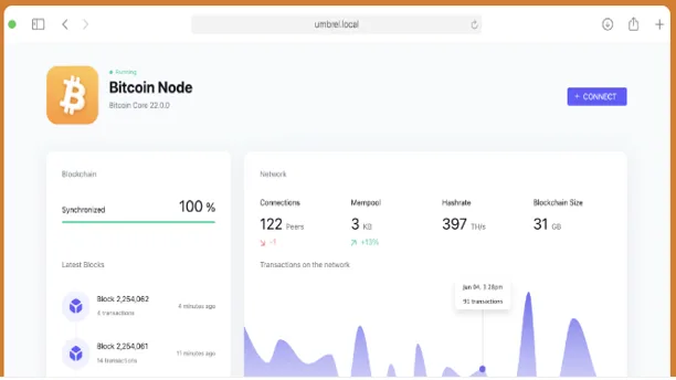 UmbrelOS 1.5.0 Review: What’s New in the Latest Home Server Release? 3 Run Your Own Bitcoin Node