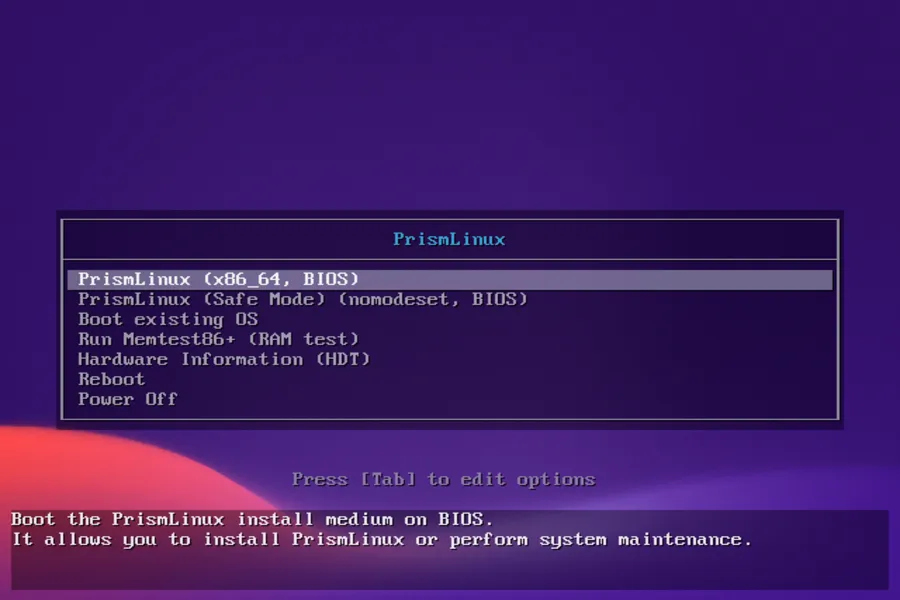 Booting Into the Live Environment
