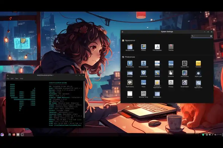 LinuxHub Prime with Cinnamon DE (2)