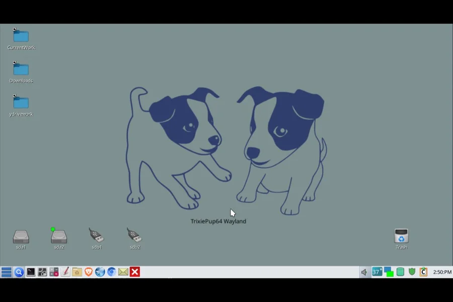 4MLinux 52.0 vs Puppy Linux: Best Lightweight Distro? 3 Puppy Linux 2026