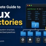 The Complete Guide to Linux Directories